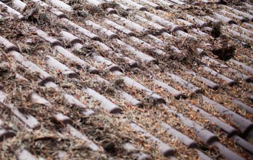 Rushden roof cleaning companies